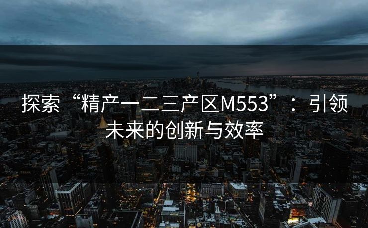 探索“精产一二三产区M553”：引领未来的创新与效率